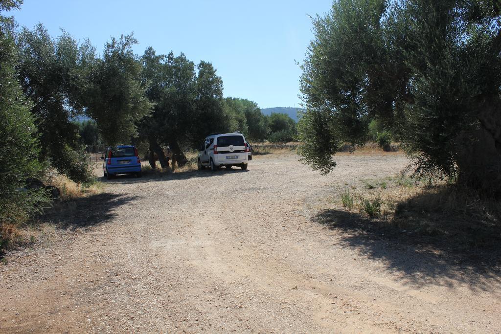 Masseria Vagone * Macchia di Monte