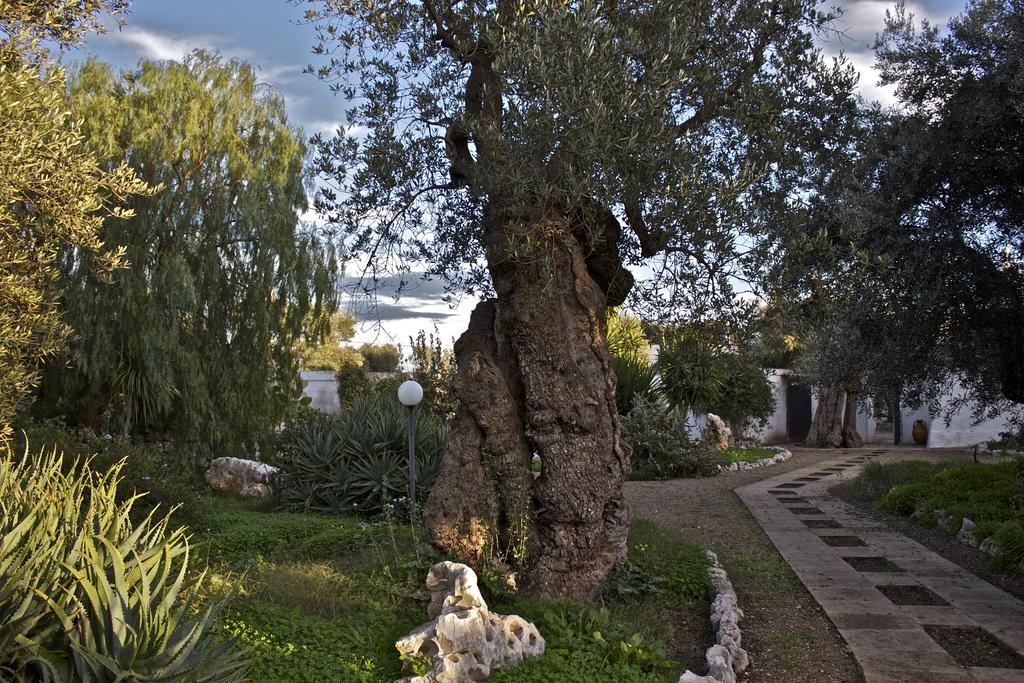 Séjour à la ferme Masseria Vagone *